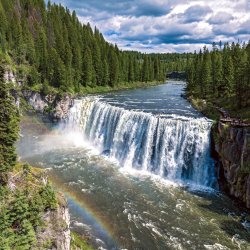 A view of Mesa Falls surrounded by tall trees.