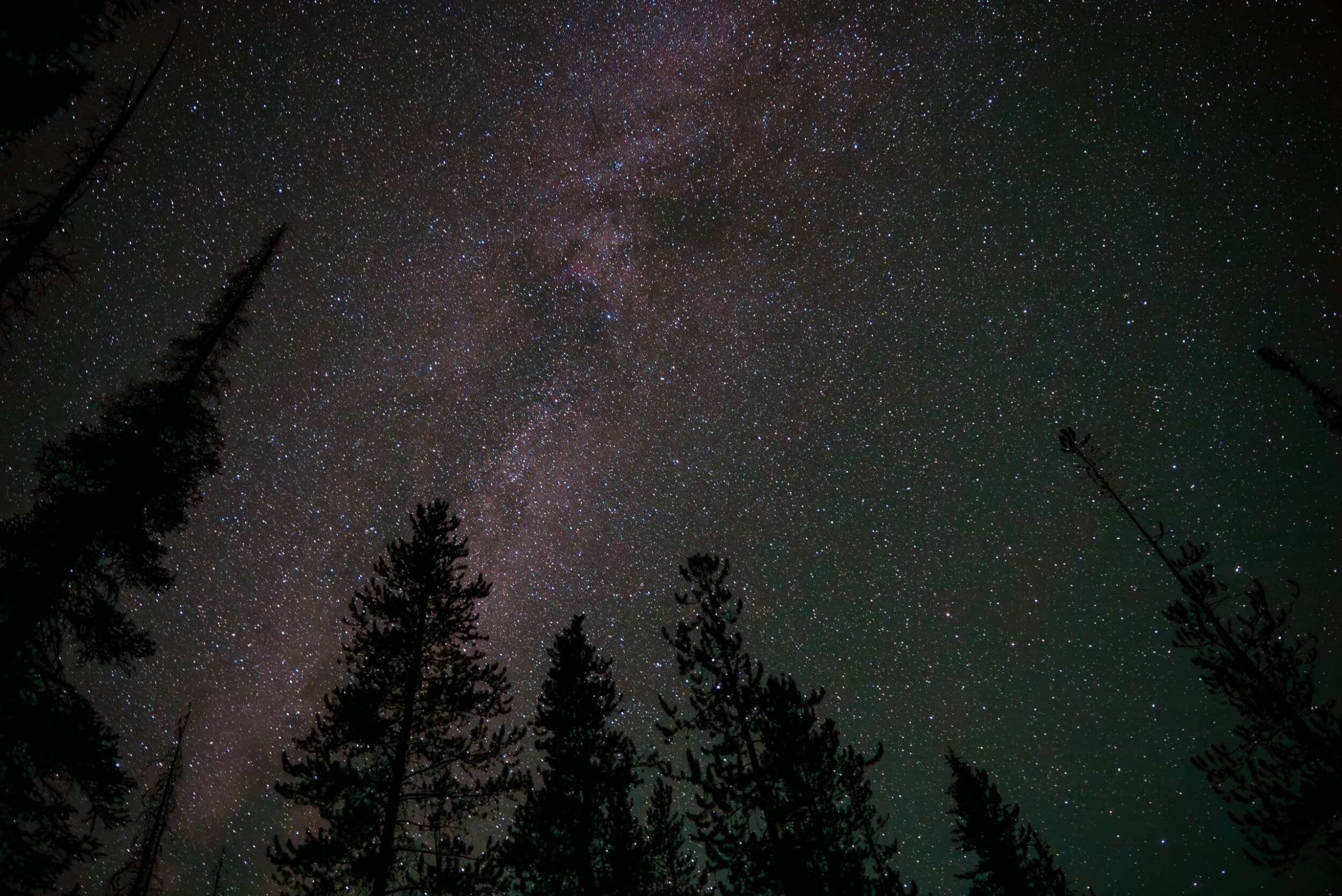 Try These 7 Scenic Byways to Find Natural Wonders Silhouettes of trees beneath a night sky filled with stars at the Central Idaho Dark Sky Reserve.