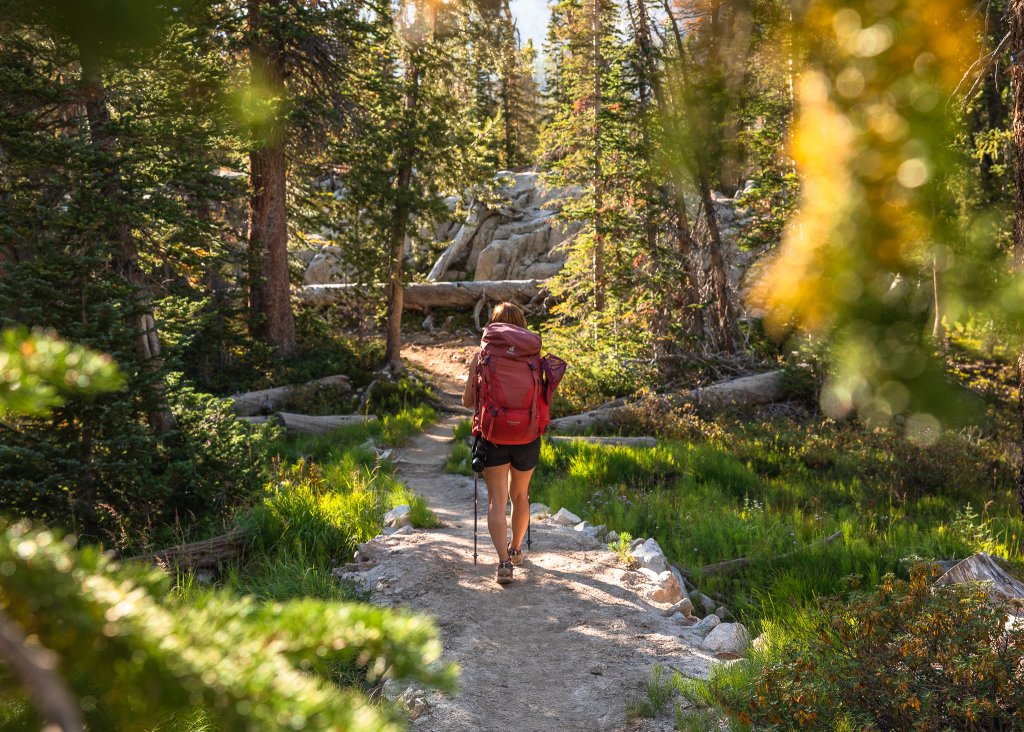 Travel With Care: Safety in Bear Country A hiker carrying a red backpack walks along a trail in Idaho.