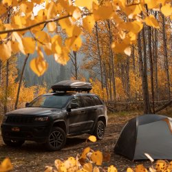A car and tent set up in a forest clearing surrounded by golden aspens.