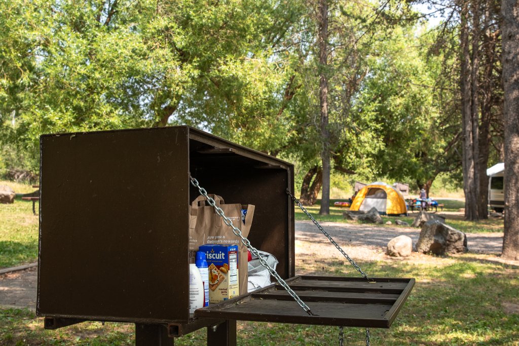 TRAVEL WITH CARE: CAMPING WITH CARE Food and camping supplies placed in a bear-proof container.