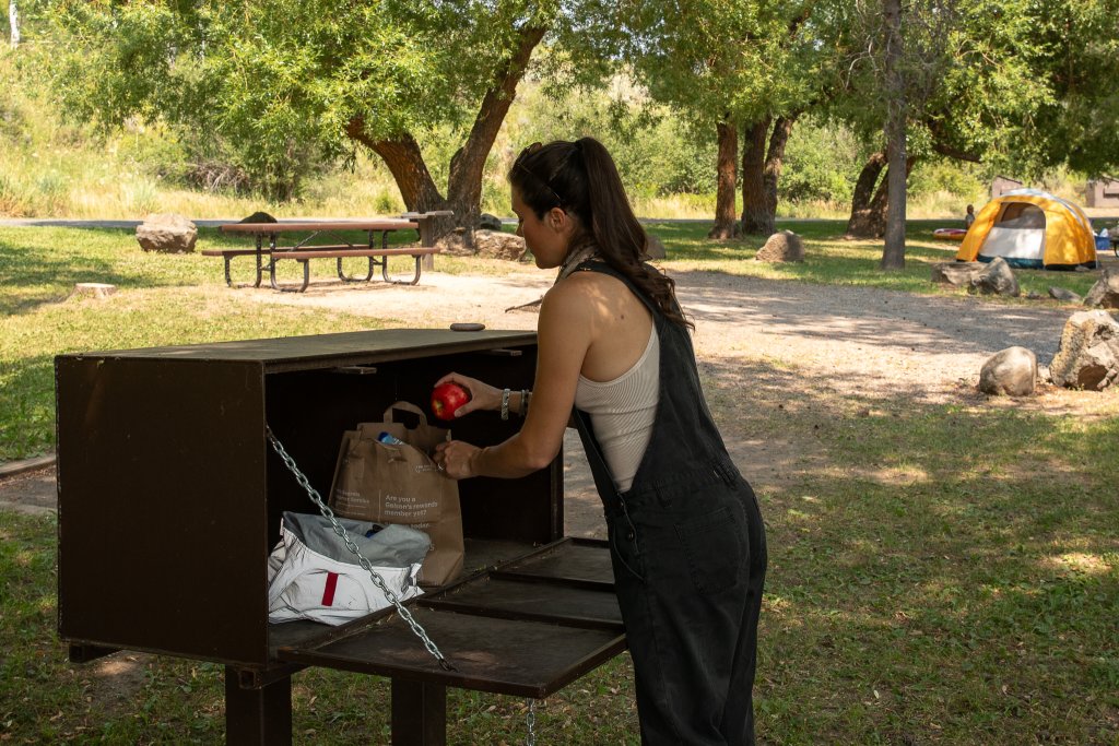 A camper places food in a bear locker at a campsite. 