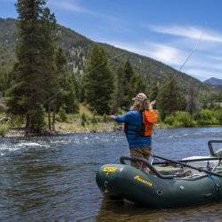 man fly fishes on Salmon River