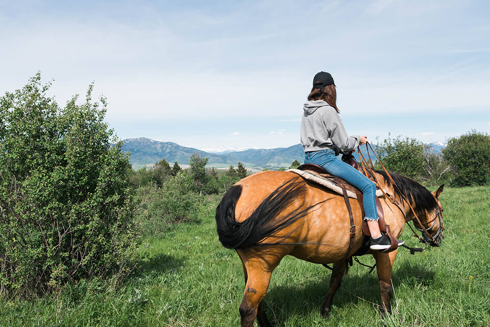 lady rides horse eastern Idaho