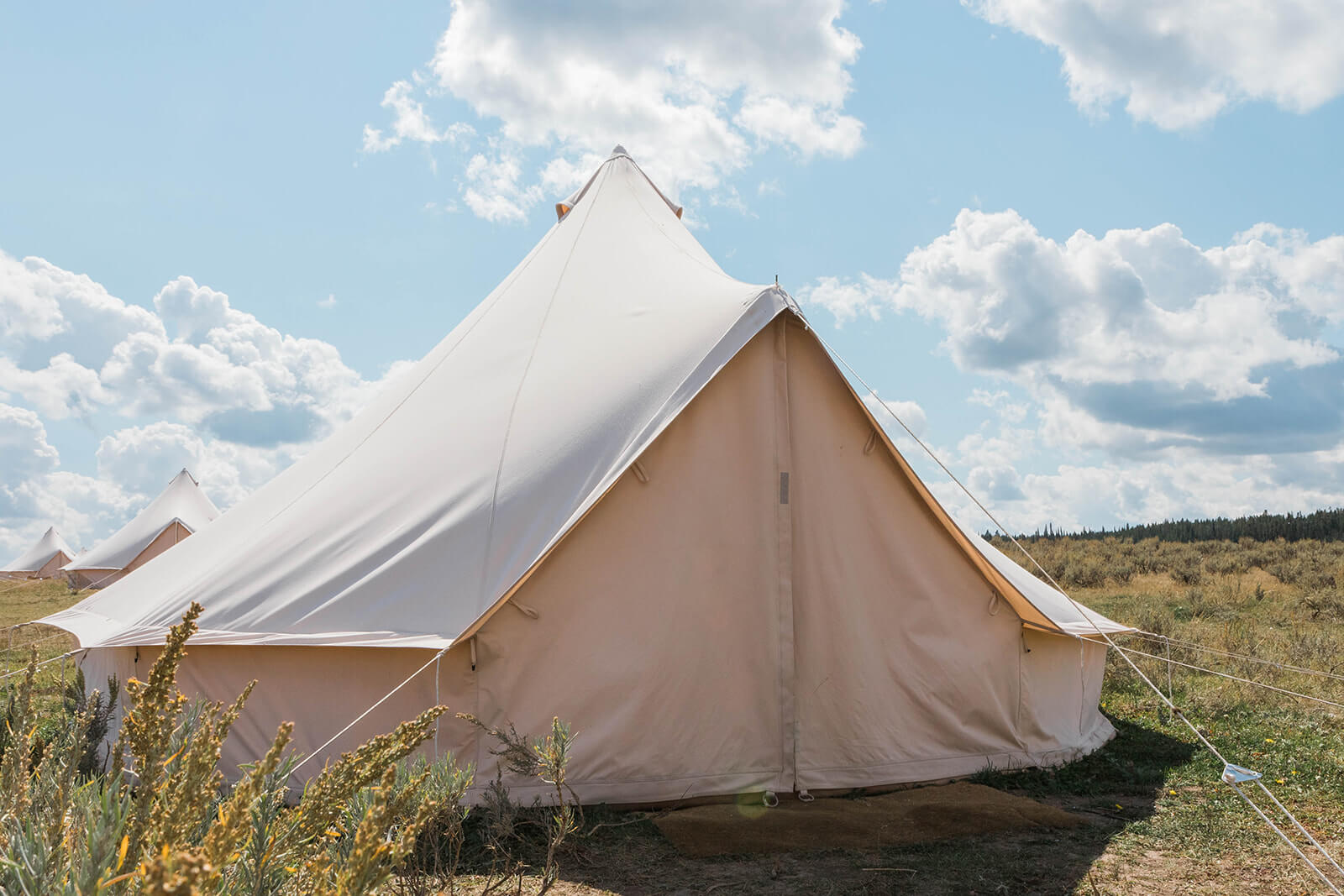 Glamping tent eastern Idaho