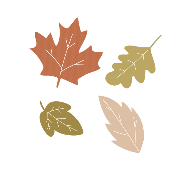Fall Things To Do 25