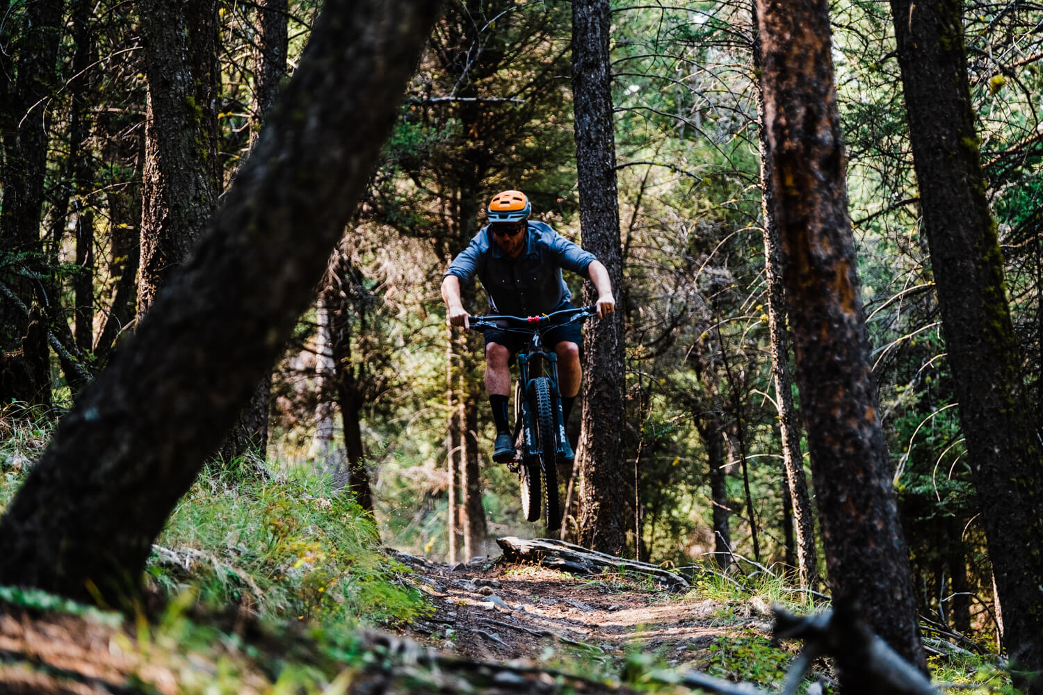 man mountain bikes in Salmon area.