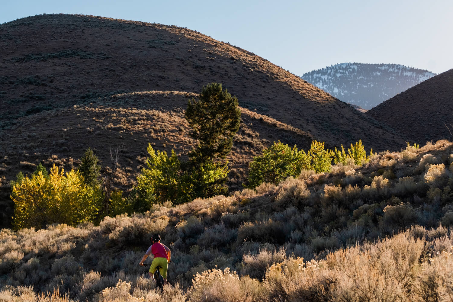 mountain biking in Salmon