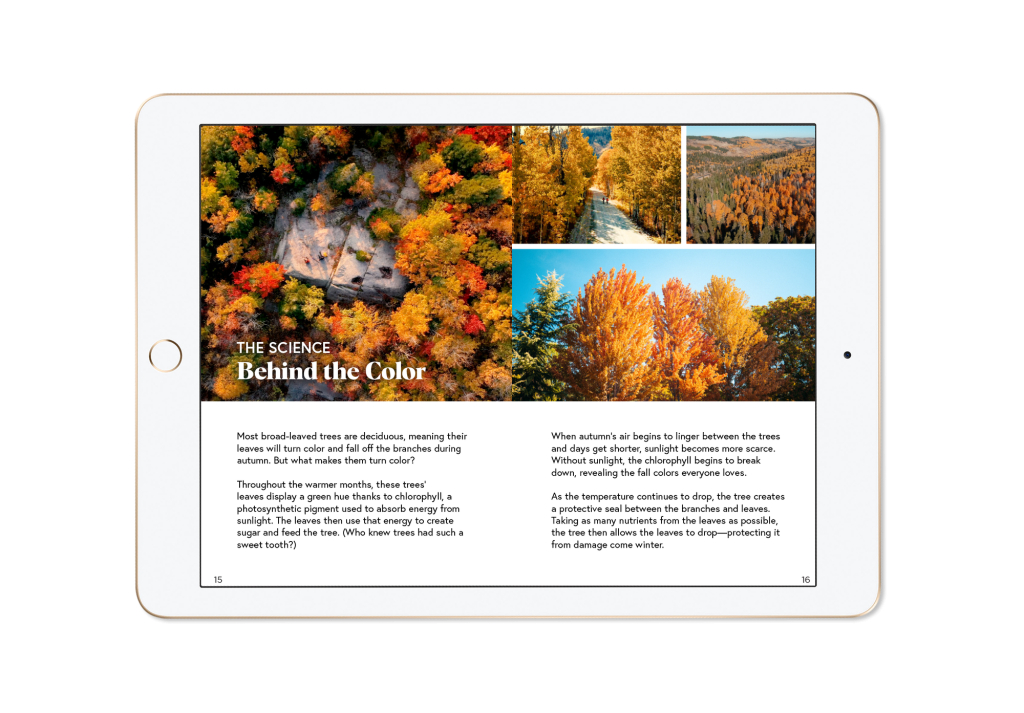 A fall scenery image from the Fall Passport displayed on an iPad.