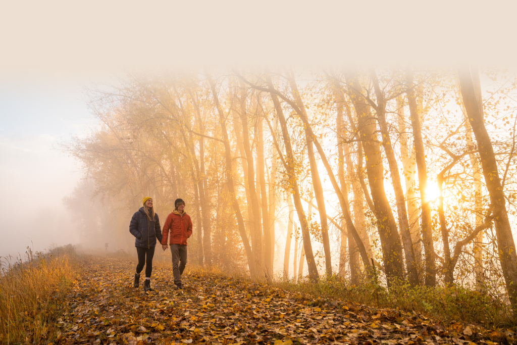 Couple walks hand-in-hand through a foggy forest trail lined with golden leaves and glowing sunrise.