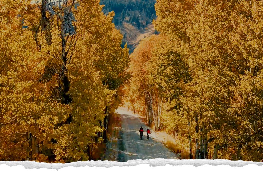 Two cyclists ride down a tree-lined dirt road surrounded by golden aspens near Sun Valley, Idaho.