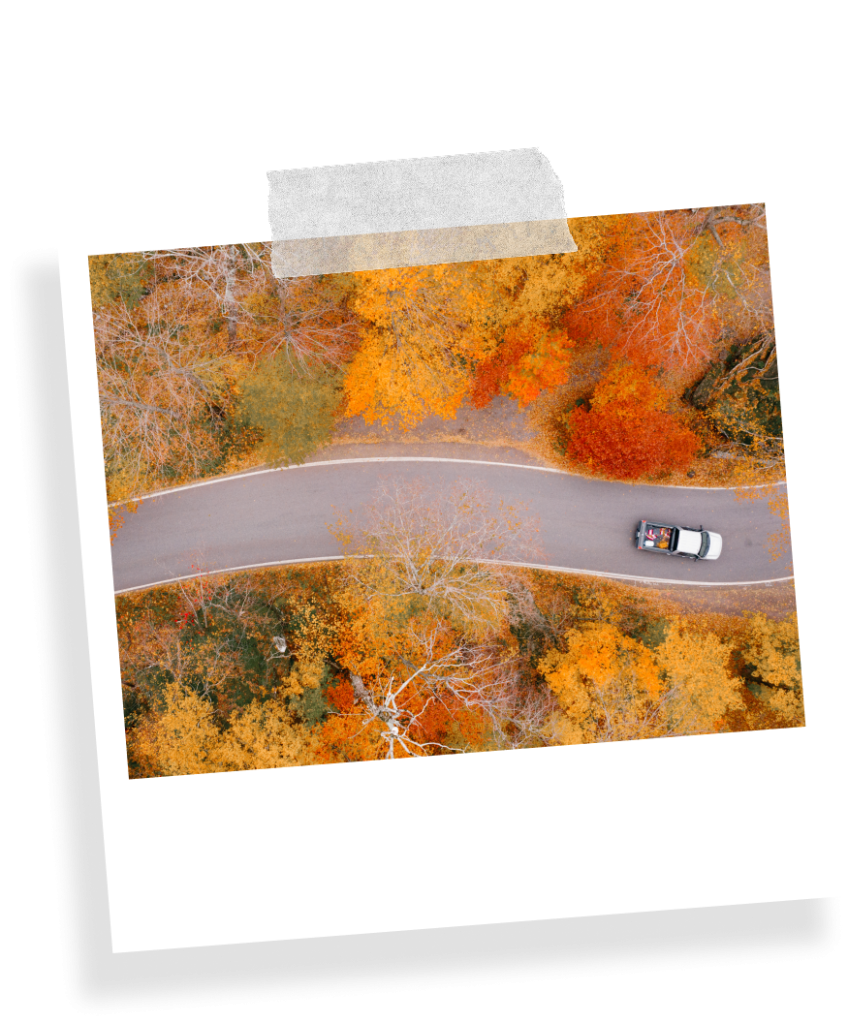 A taped Polaroid image showing a car driving along the Lake Coeur d'Alene Scenic Byway, lined by trees with fall foliage.