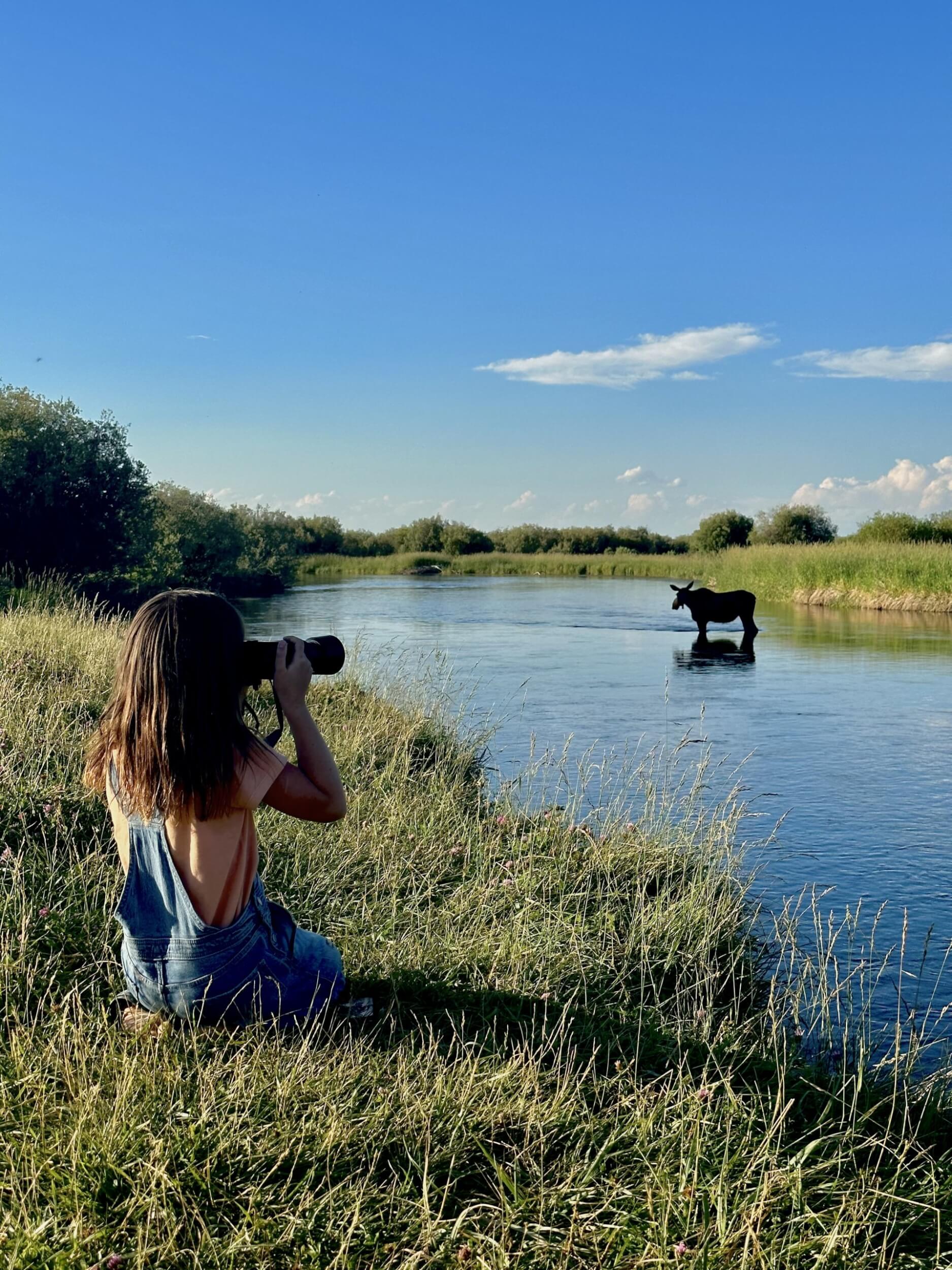 girl takes picture of moose on Teton River. 