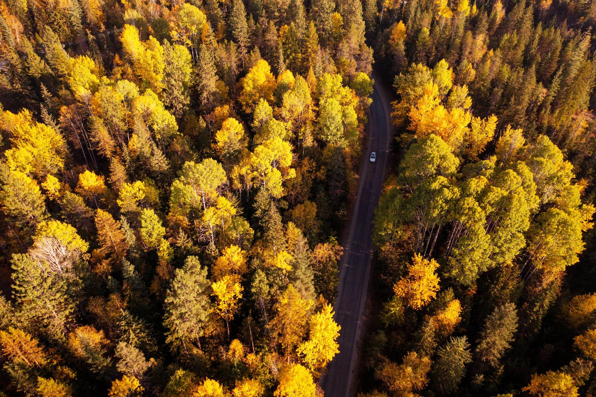 A bird's-eye view of West Side Road surrounded by forests with fall foliage.