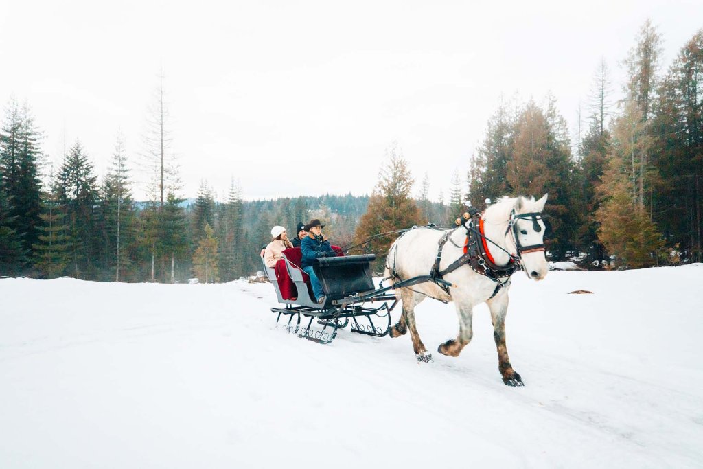 Horse-drawn sleigh ride through snowy woods near Sandpoint