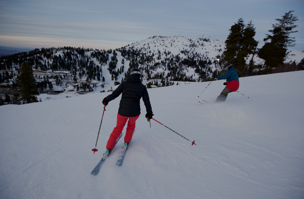 Two people skiing down a slope, and in the background, a forest of trees and snow-covered landscapes in the background.