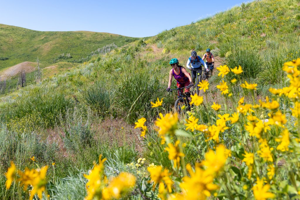Three people riding mountain bikes on a trail along a hill covered with tall grass and wildflowers at Soldier Mountain.