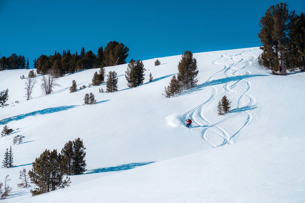 A snowboarder makes tracks in the snow, hands raised, weaving between trees at Soldier Mountain.