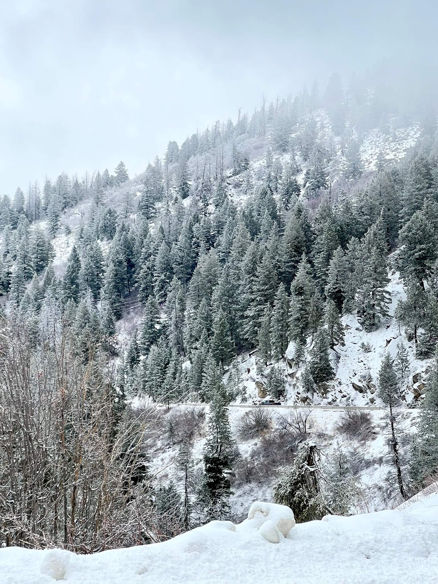 winter mountains near Boise