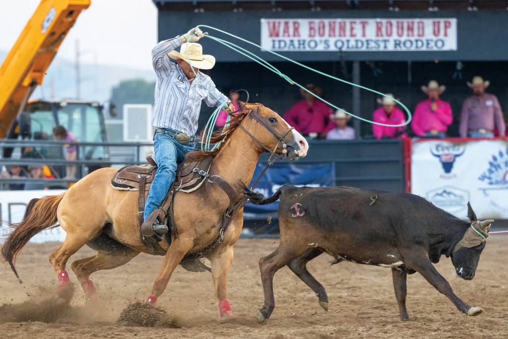 A cowboy ropes a calf from a horse during the War Bonnet Round Up in Idaho.