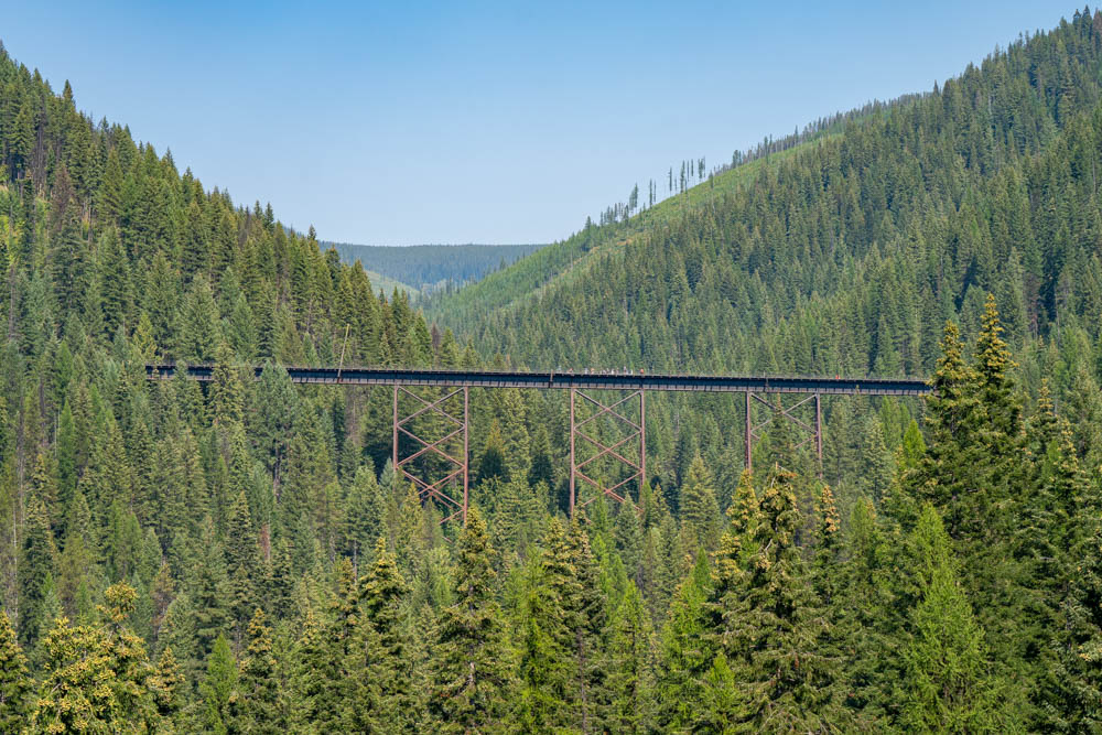an aerial side view of a stretch of the Route of the Hiawatha trail standing high above the forest floor.
