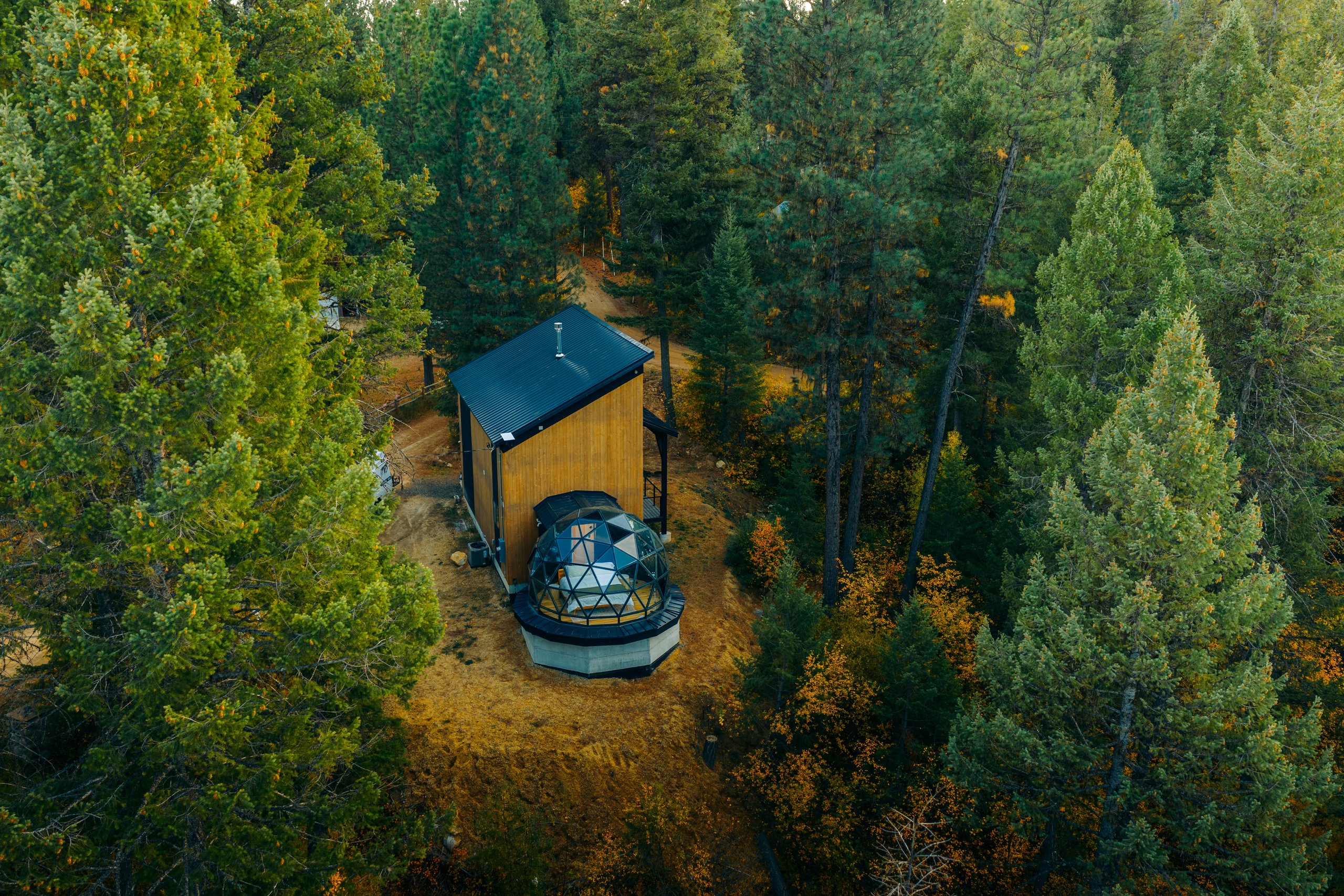 Aerial view of a wooden cabin attached to a geodesic dome, tucked into a pine forest with hints of fall color.