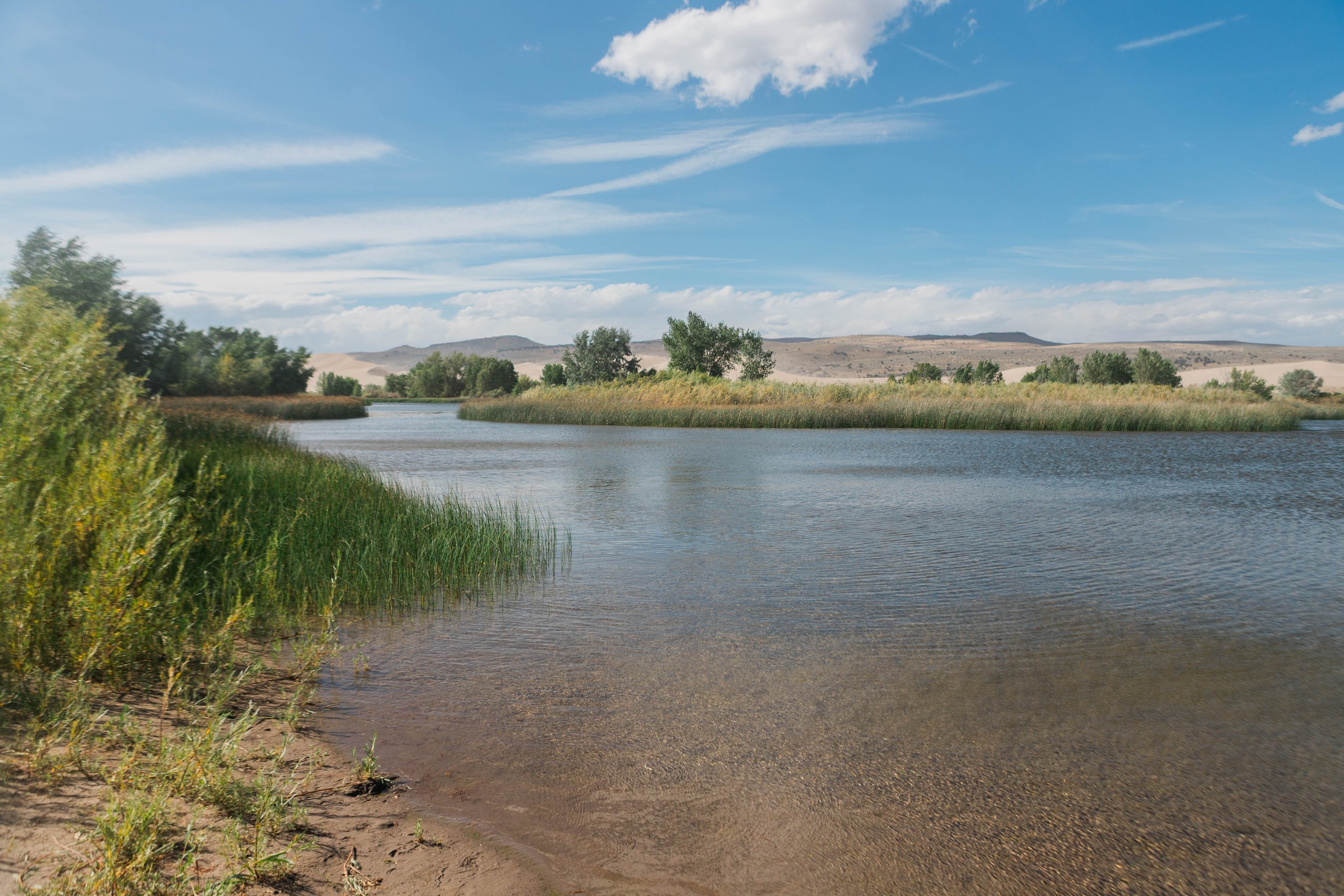 A shallow Egin lake with a sandy bottom visible near the shore. Tall green reeds line the left bank, and a strip of trees and marsh grass crosses the far side. St. Anthony sand dunes rise in the distance under a bright blue sky with scattered white clouds.