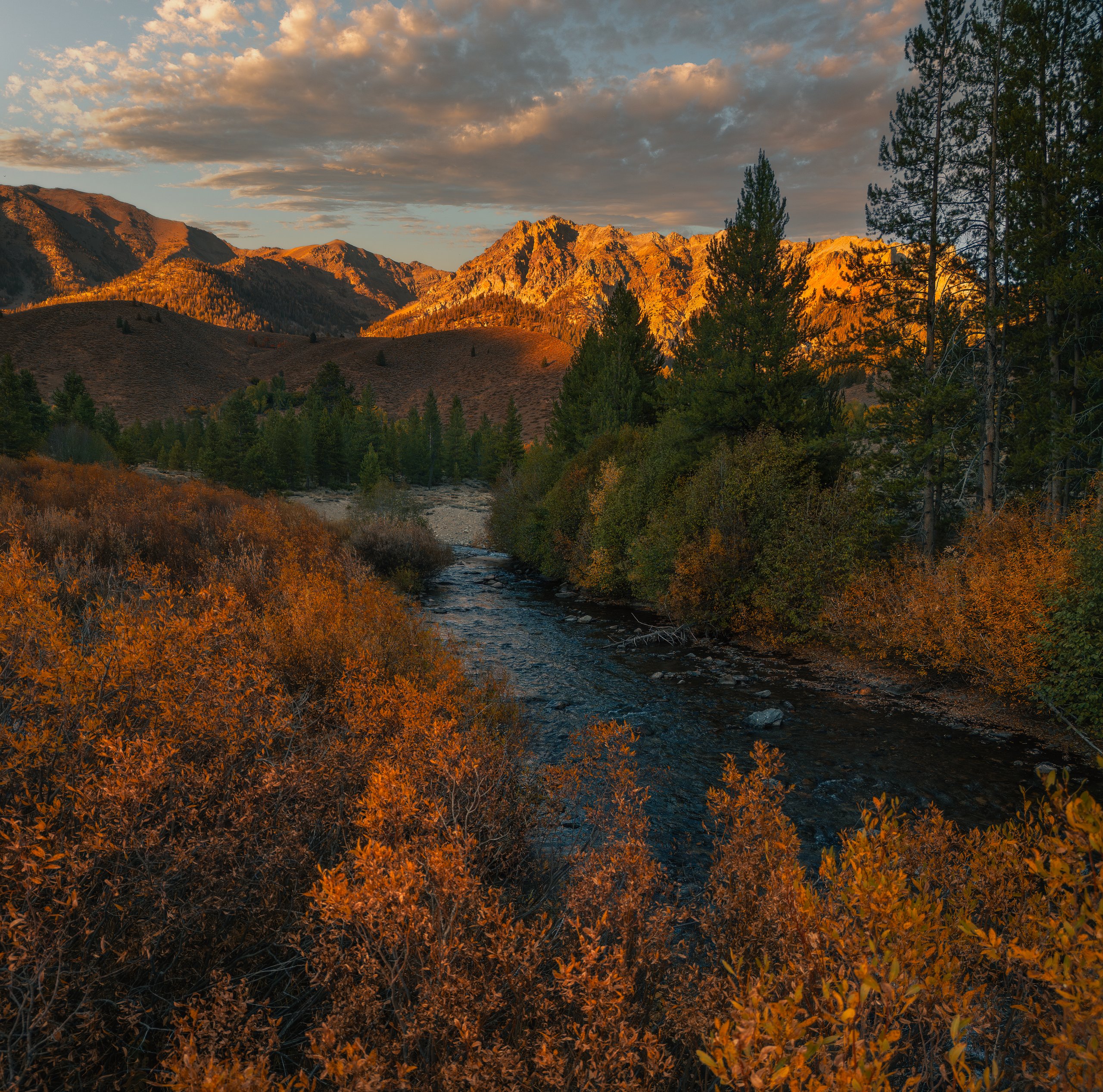 Creek along the Billsy Bridge Trail near Ketchum, Idaho, winding through orange autumn shrubs and pines below sunlit peaks.