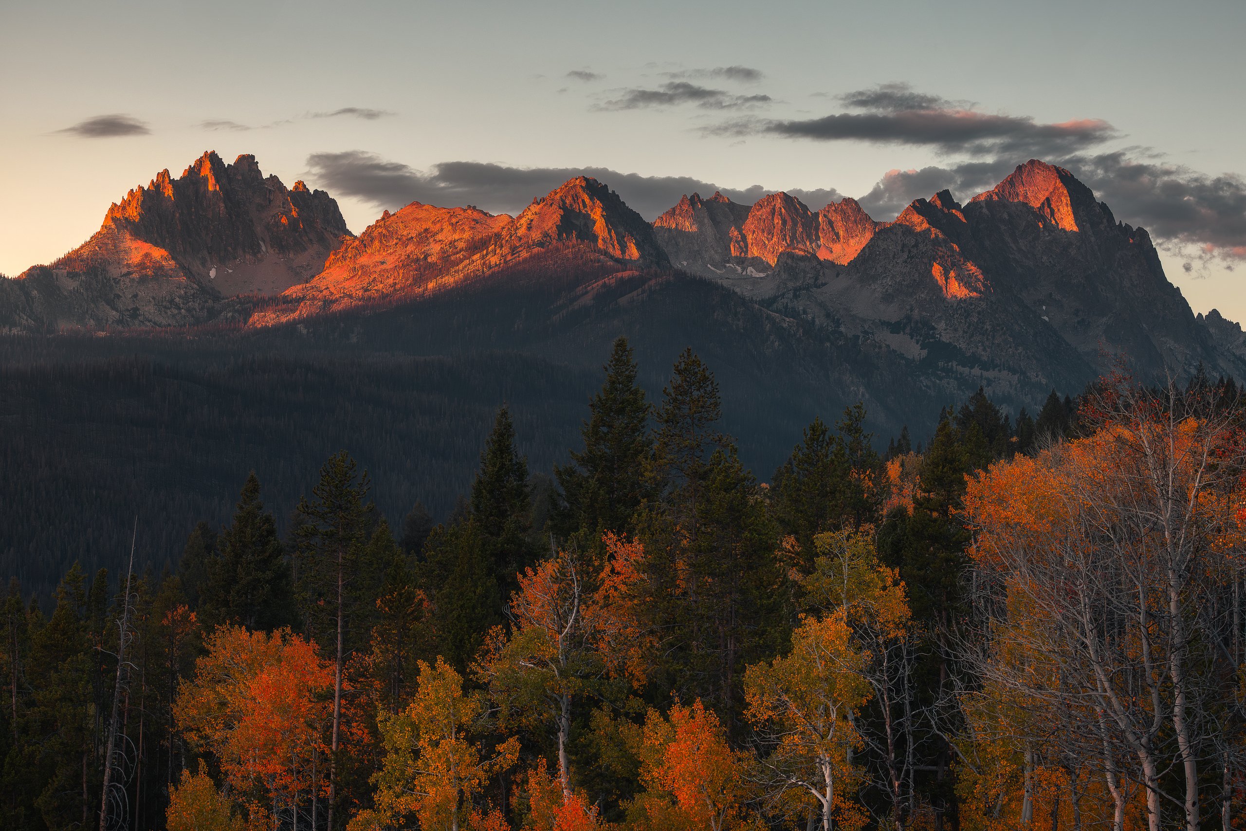 View from the Fishhook Creek Trail in Idaho&rsquo;s Sawtooth Mountains at sunset. The jagged granite peaks glow orange and pink beneath a pale sky with drifting gray clouds. Below them are dark forested slopes, and in the foreground a stand of orange, gold and yellow aspens grows among tall evergreens.