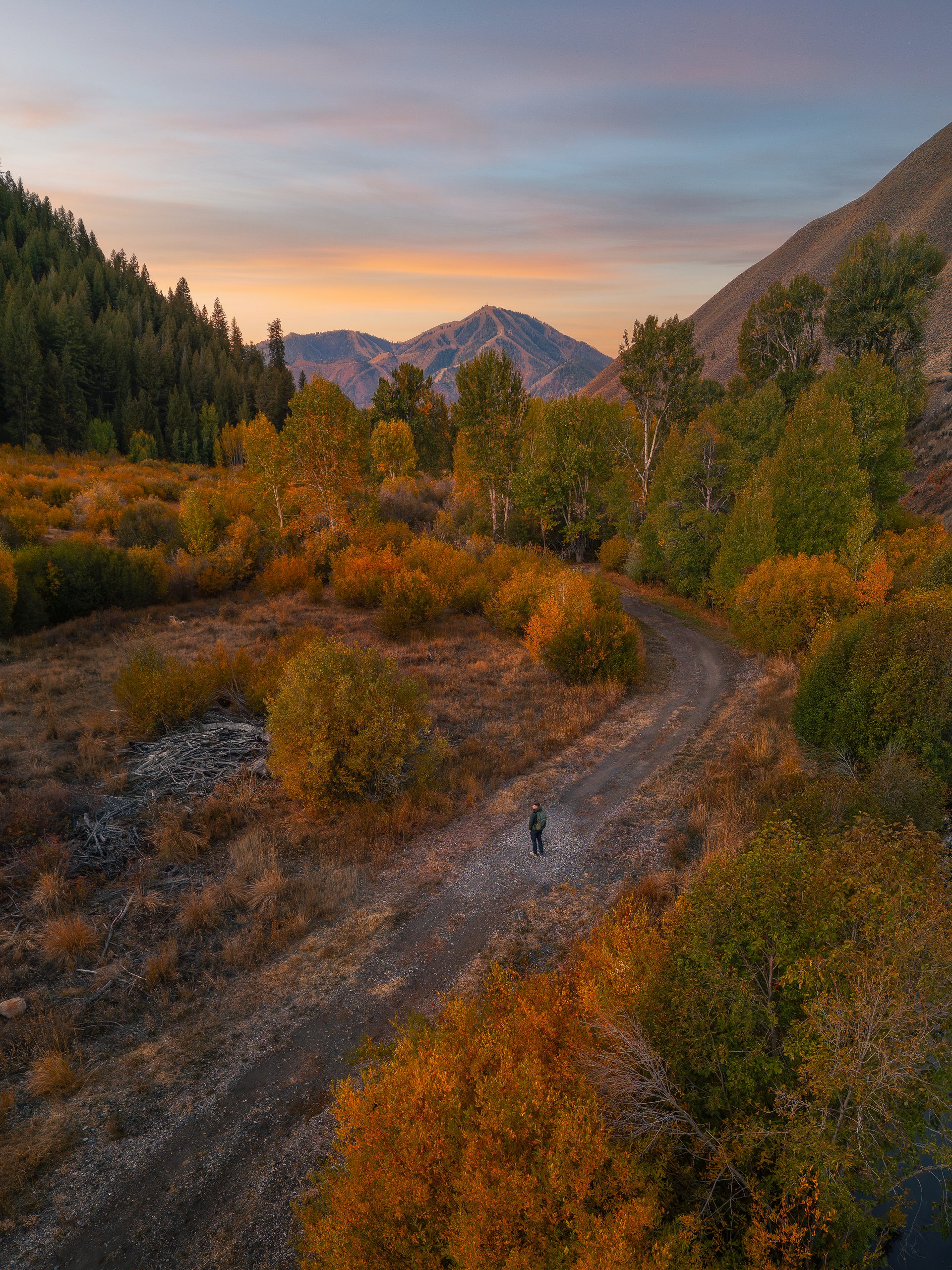 An aerial view of a dirt road on Trail Creek Road near Ketchum, Idaho, winding through a valley of willows and cottonwoods in orange, gold and green. A lone hiker in a dark jacket stands on the road, looking back toward the camera. Dense evergreens cover the slope on the left, a bare sagebrush hillside rises on the right, and a mountain peak in the distance sits under a sunset sky streaked with peach, pink and blue.