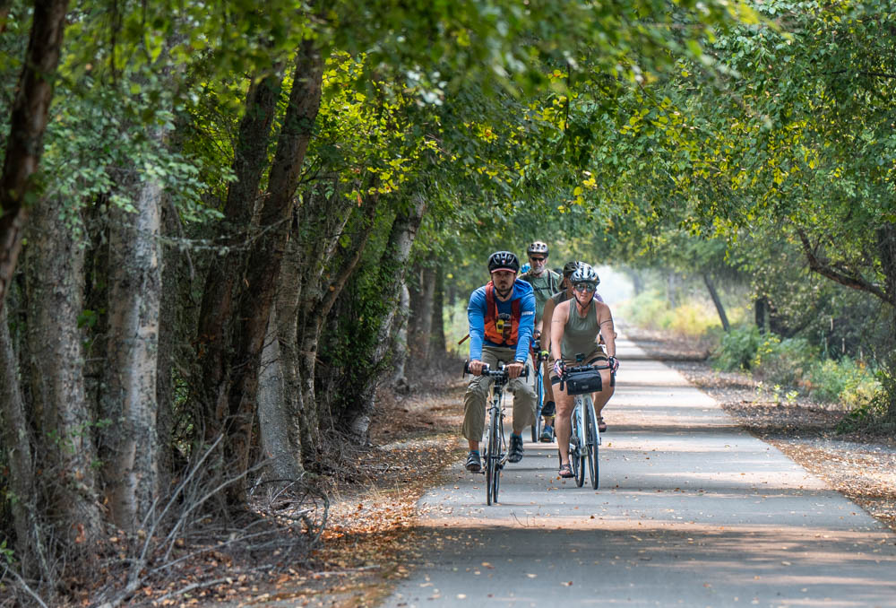 Three cyclists in helmets ride toward the camera on the paved Trail of the Coeur d' Alenes bike path under a tunnel of leafy green trees.